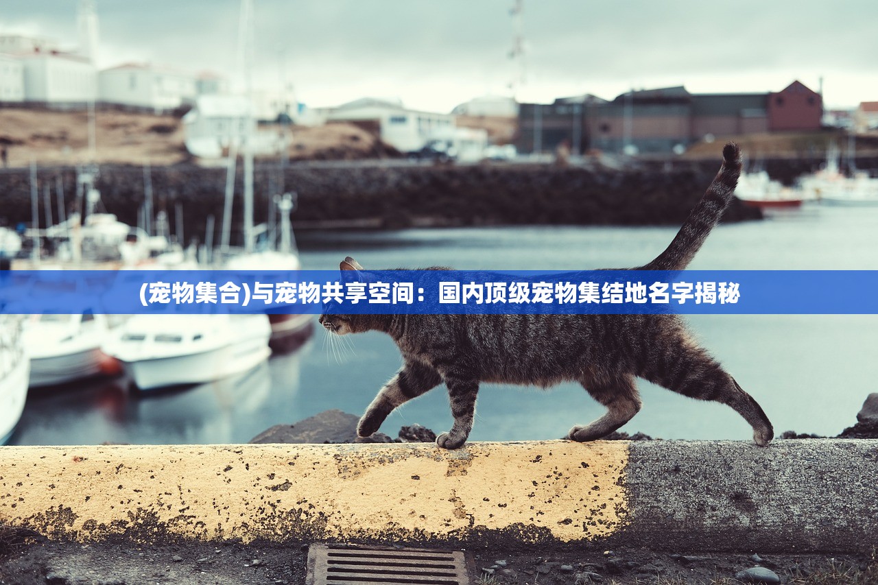 (长生祭游戏攻略第五章)长生祭游戏攻略大全及常见问答（FAQ）