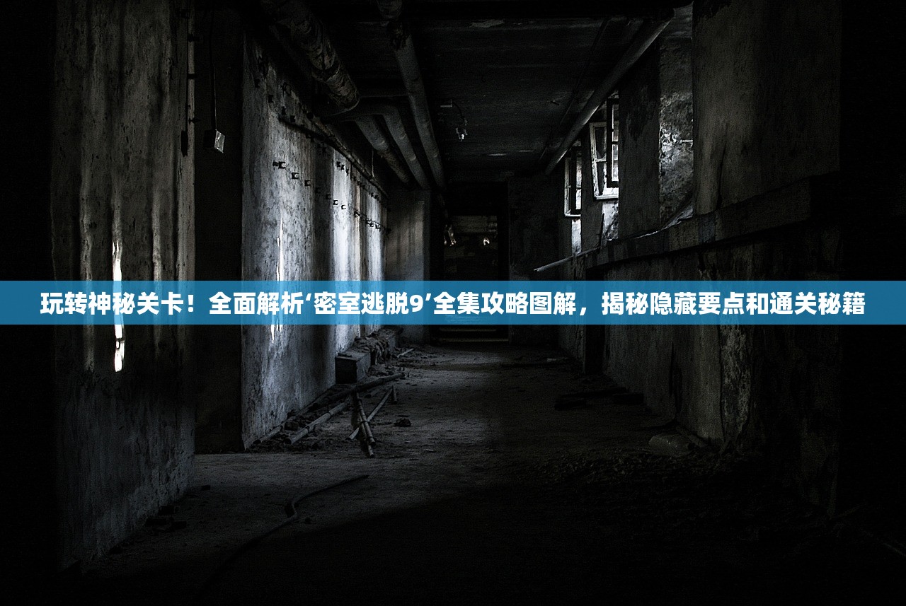 (代号枪王)关于代号枪手2的激活码详解