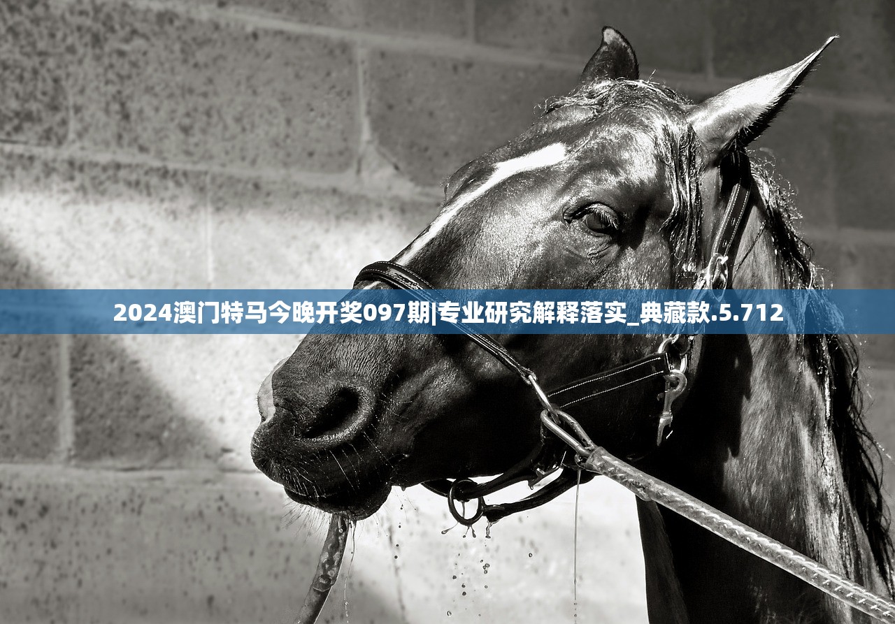 2024澳门特马今晚开奖097期|专业研究解释落实_典藏款.5.712