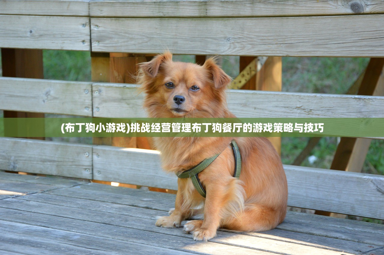 (武侠格斗手游推荐)一款早期武侠格斗过关游戏深度解析与探讨