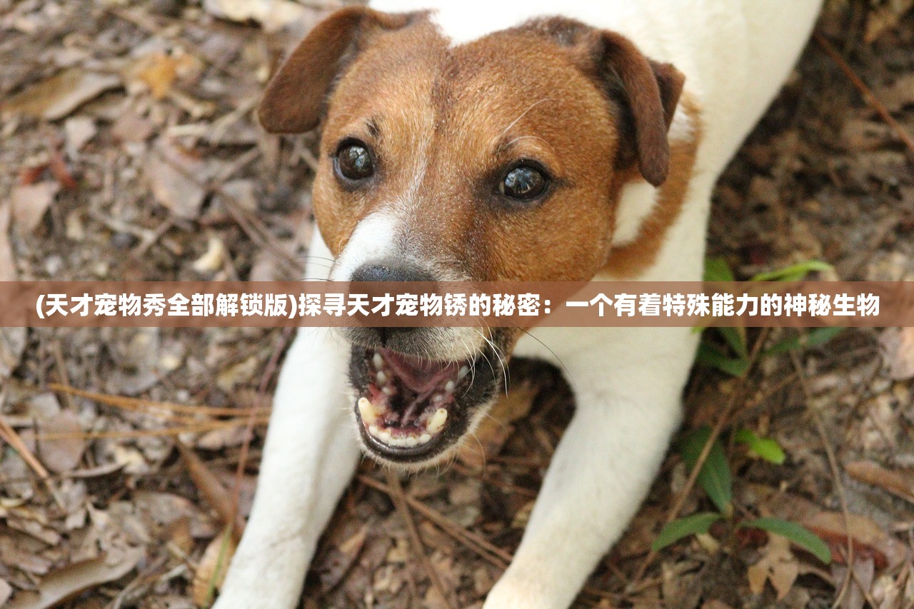 (古神遗踪阵容推荐)古神遗踪，主角职业选择攻略——哪个职业更好？