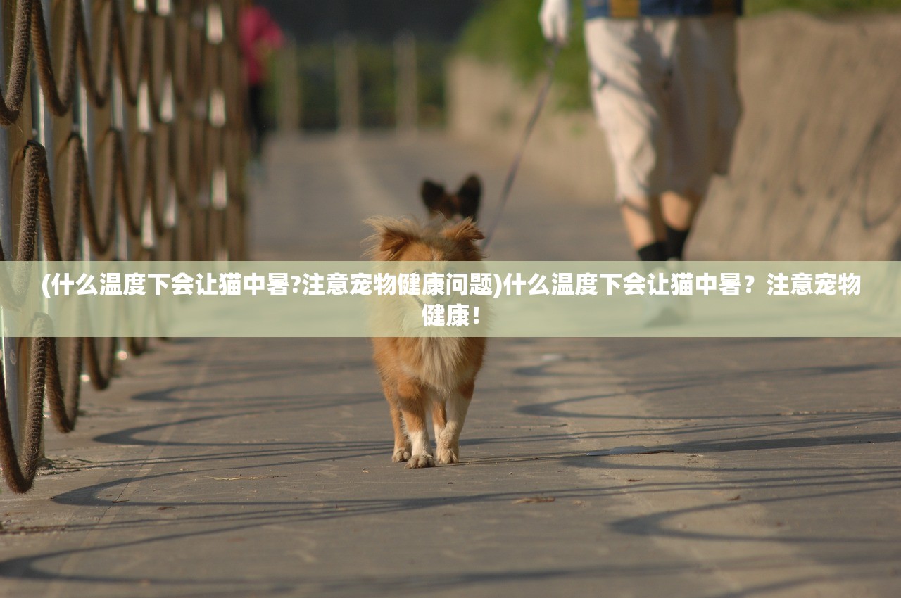 (群英召唤)群英觉醒四大最强队伍，深度分析与探讨