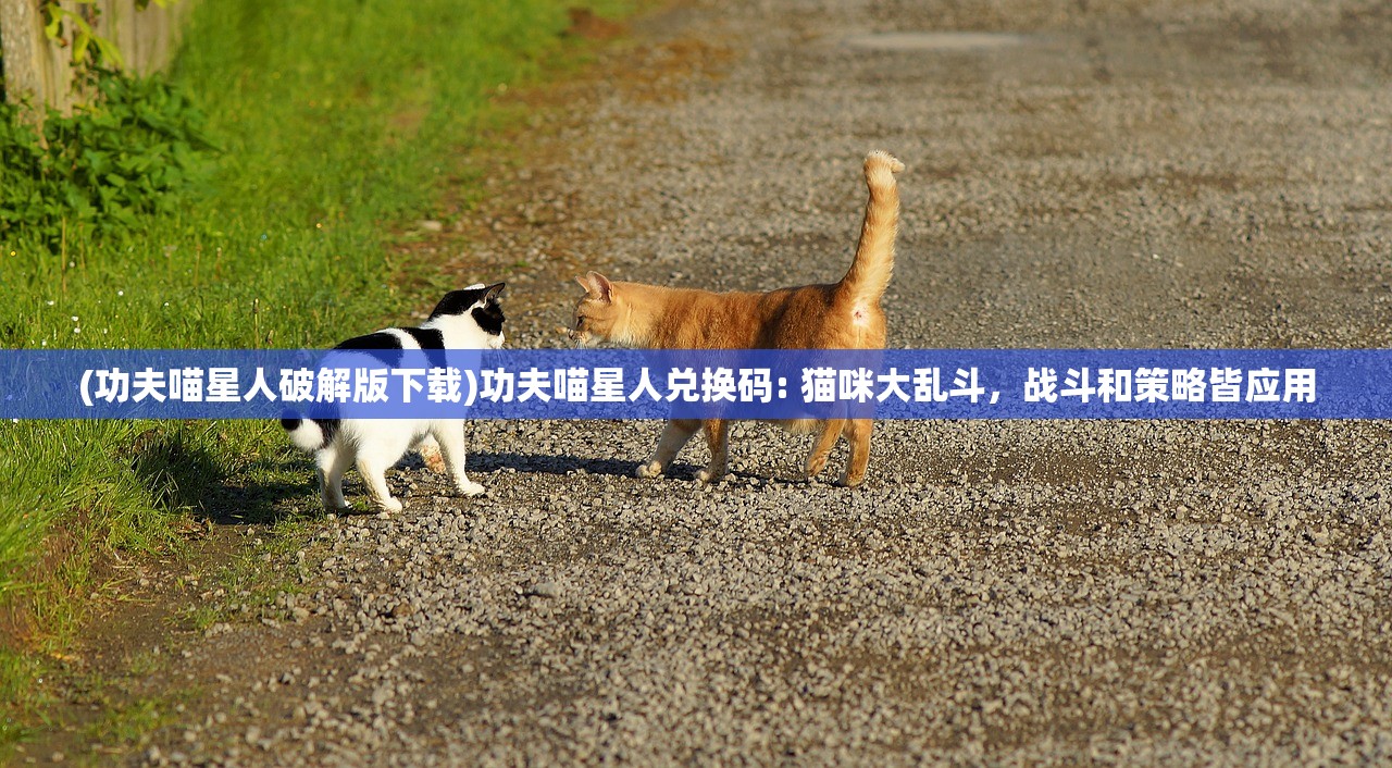 (争渡三国在线游戏)争渡三国哥，探寻历史与文化的交融