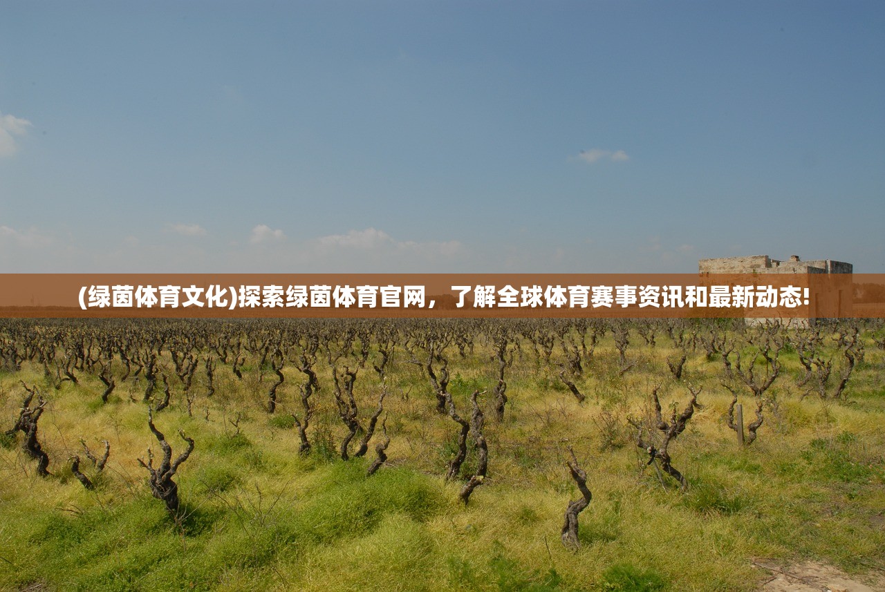 (螺旋圆舞曲2什么时候出)螺旋圆舞曲2安卓官服，游戏新篇章的开启