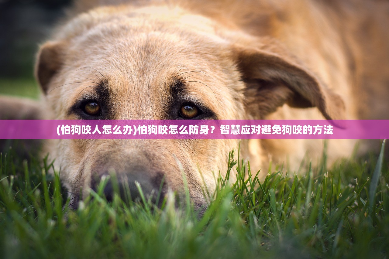 (死神vs火影绊下载安装)死神VS火影绊iOS版，热血动漫战斗游戏的重生