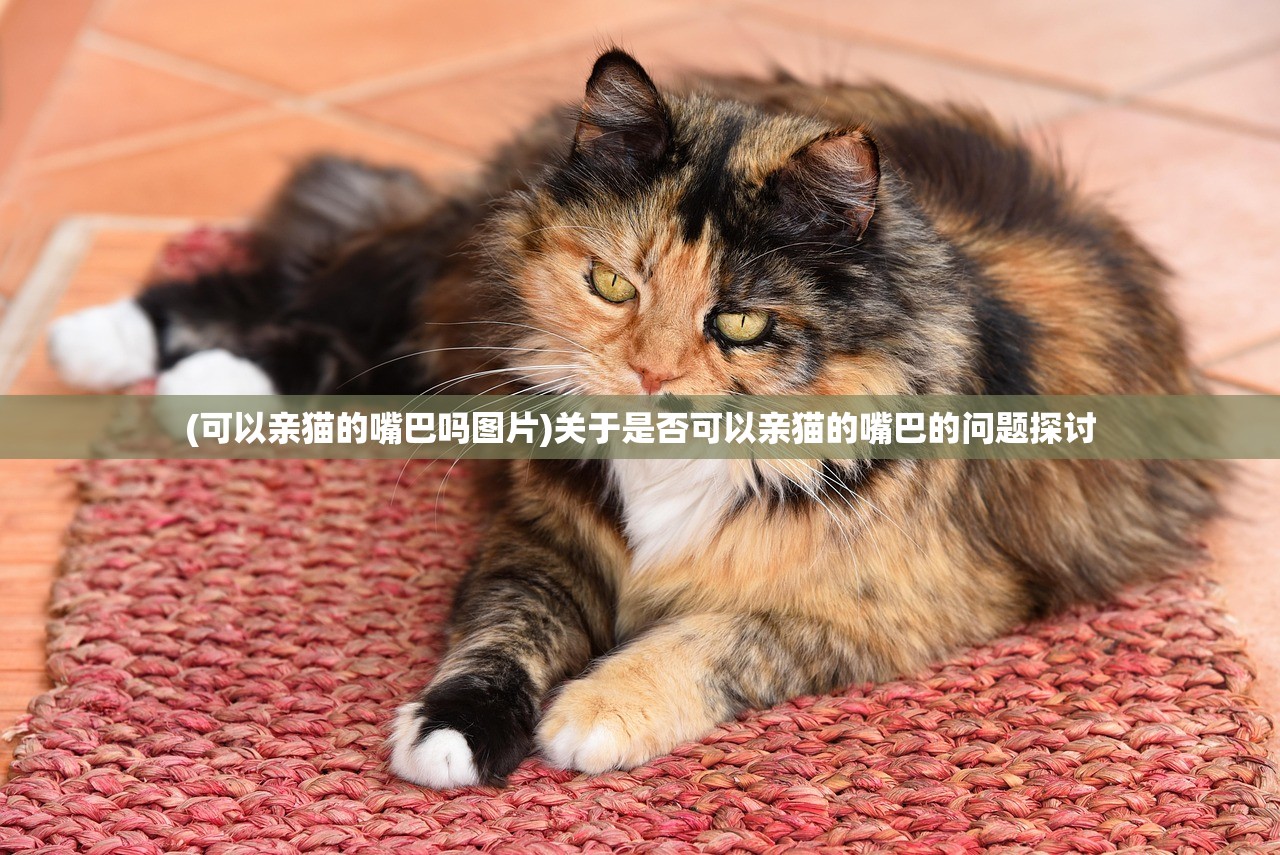 (无双魏蜀吴平民攻略)无双魏蜀吴最强天命阵容解析与策略探讨