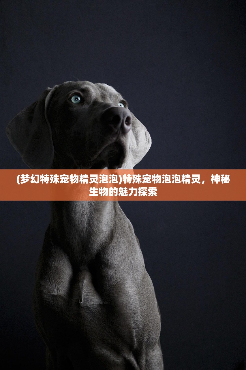 (龙之王座 不思议迷宫)龙之王座的权力与荣耀，一部史诗级传奇的探究