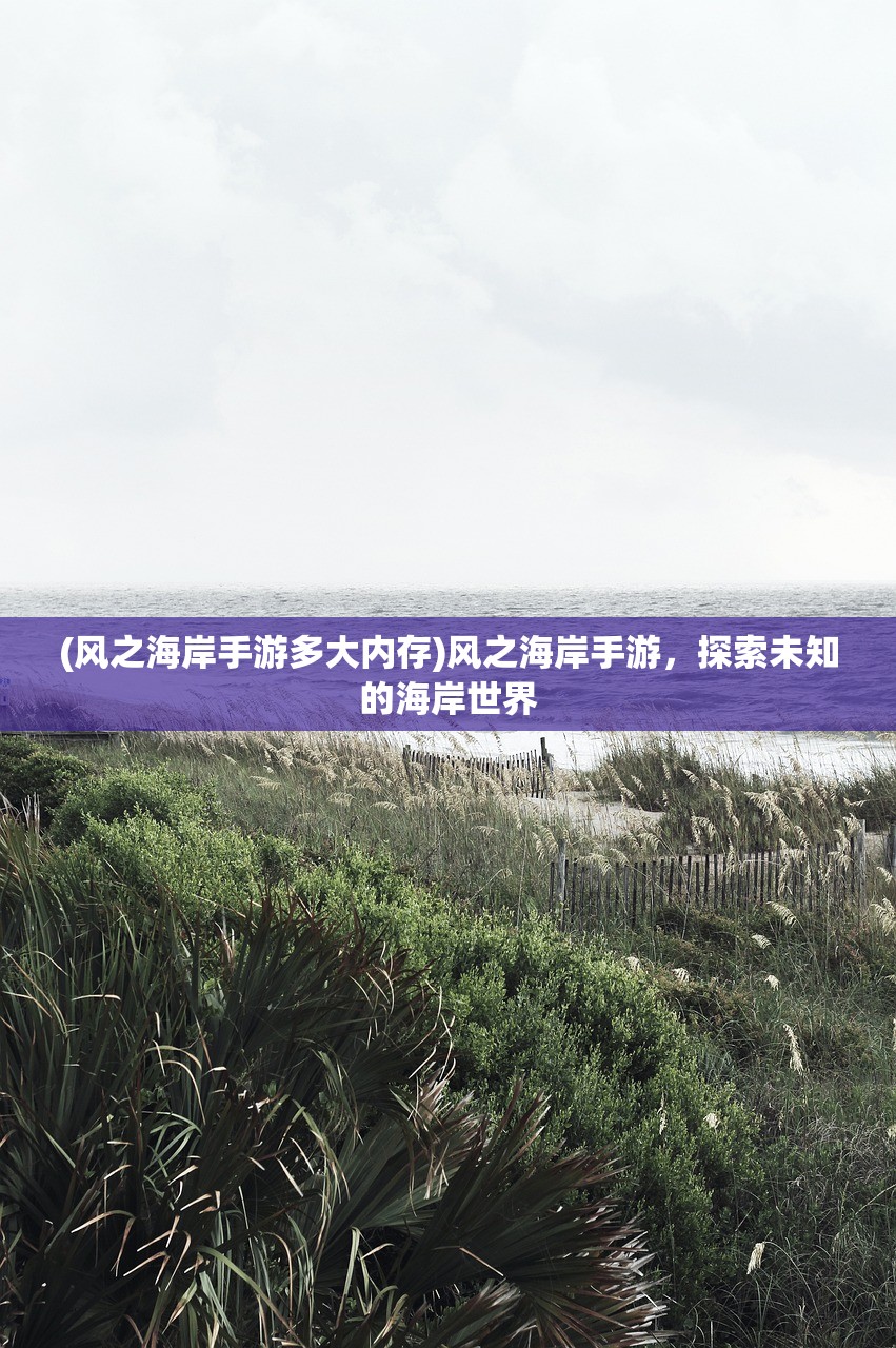 (王者战魂最新版本是多少)王者战魂最新版，全面解析与常见问题解答