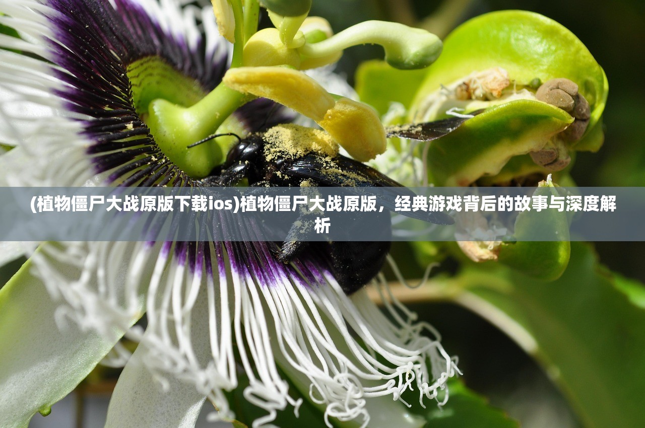 (上古神魔手游怎么玩视频)上古神魔手游攻略，玩转游戏世界的指南