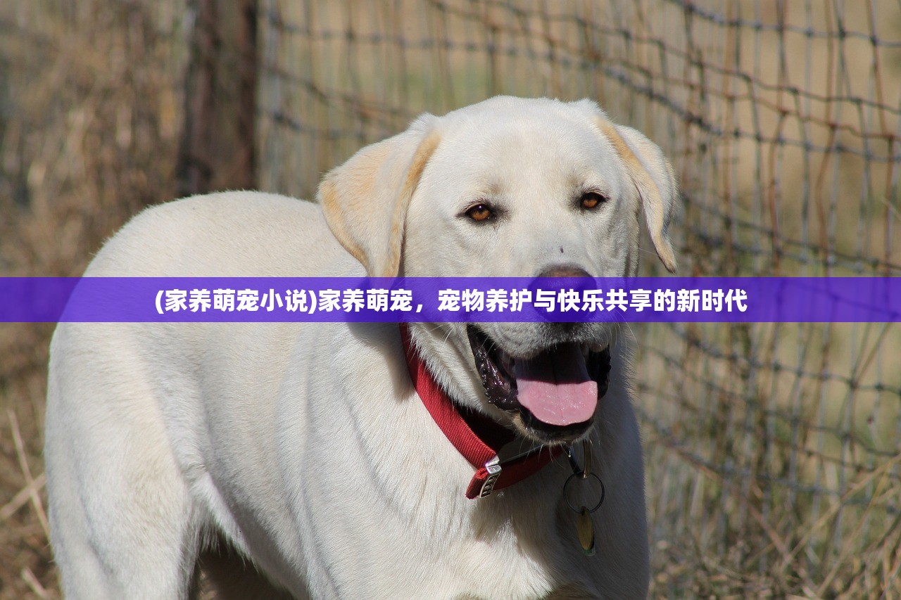 (白蛇疾闻录白蛇结局是什么)白蛇疾闻录，白蛇结局深度解析