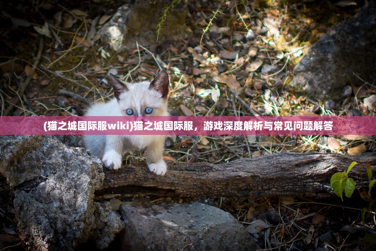 (萃星物语 下架了吗)萃星物语下架,探究原因与未来展望 (萃星物语 下架了吗)萃星物语下架,探究原因与未来展望