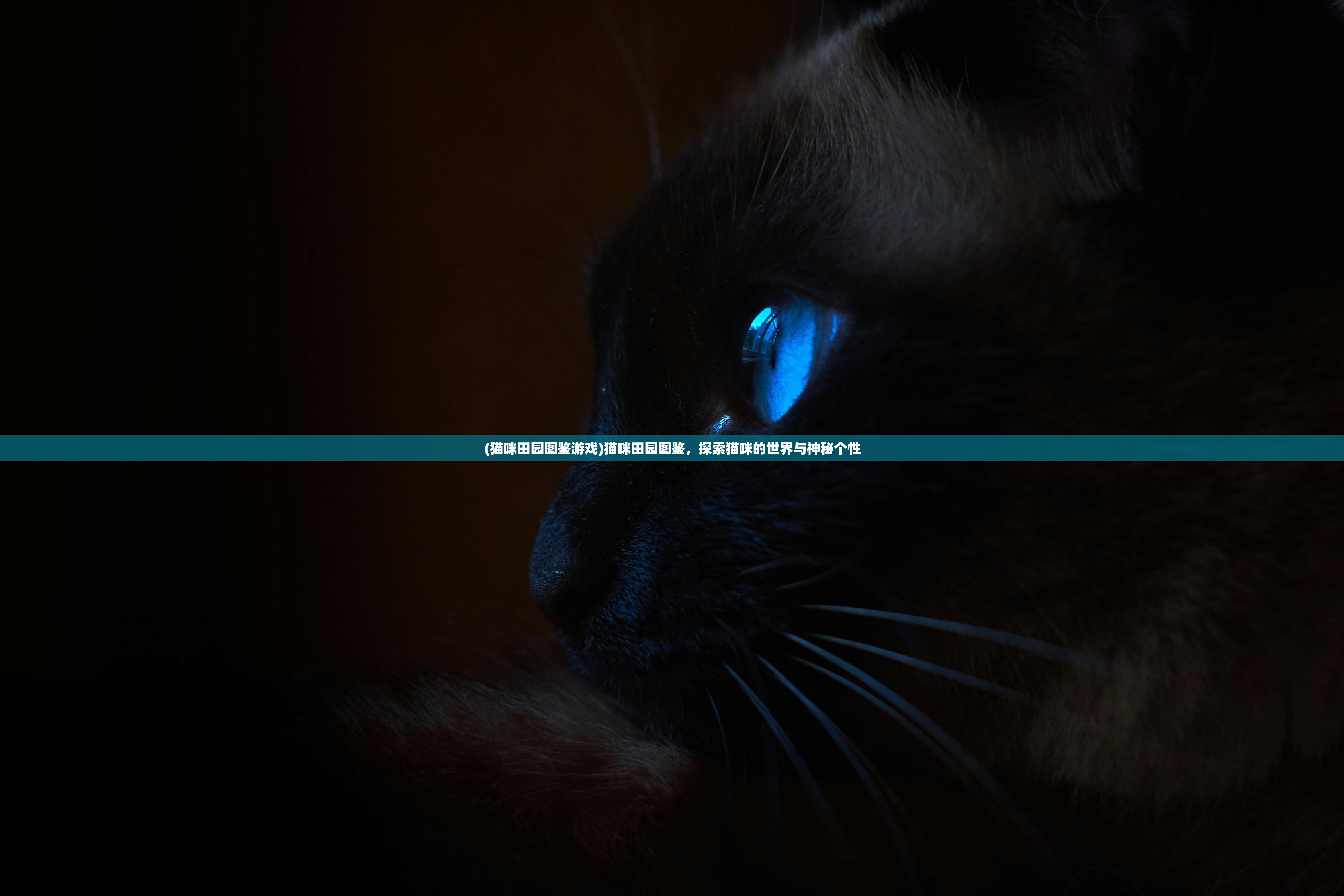 (少年三国志2阵容推荐最新2024)少年三国志2,最佳阵容推荐与策略分析 (少年三国志2阵容推荐最新2024)少年三国志2,最佳阵容推荐与策略分析