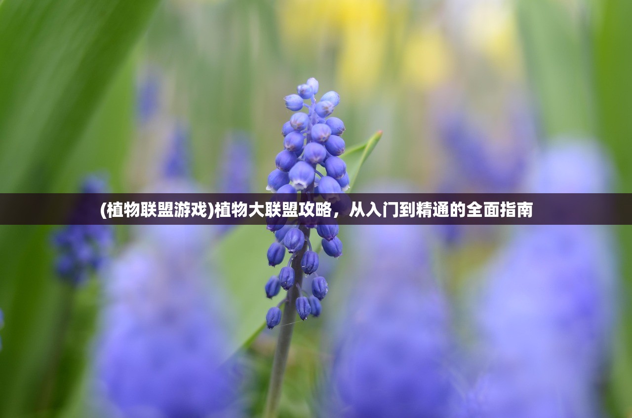 (代号鸢为什么国内玩不了)如鸢与代号鸢，区别与探究