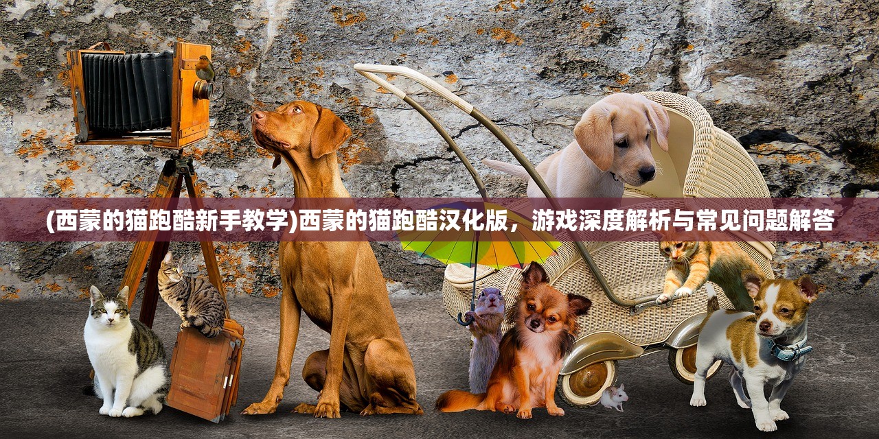 (无双霸业手游官网)无双霸业手游，策略争霸的新纪元