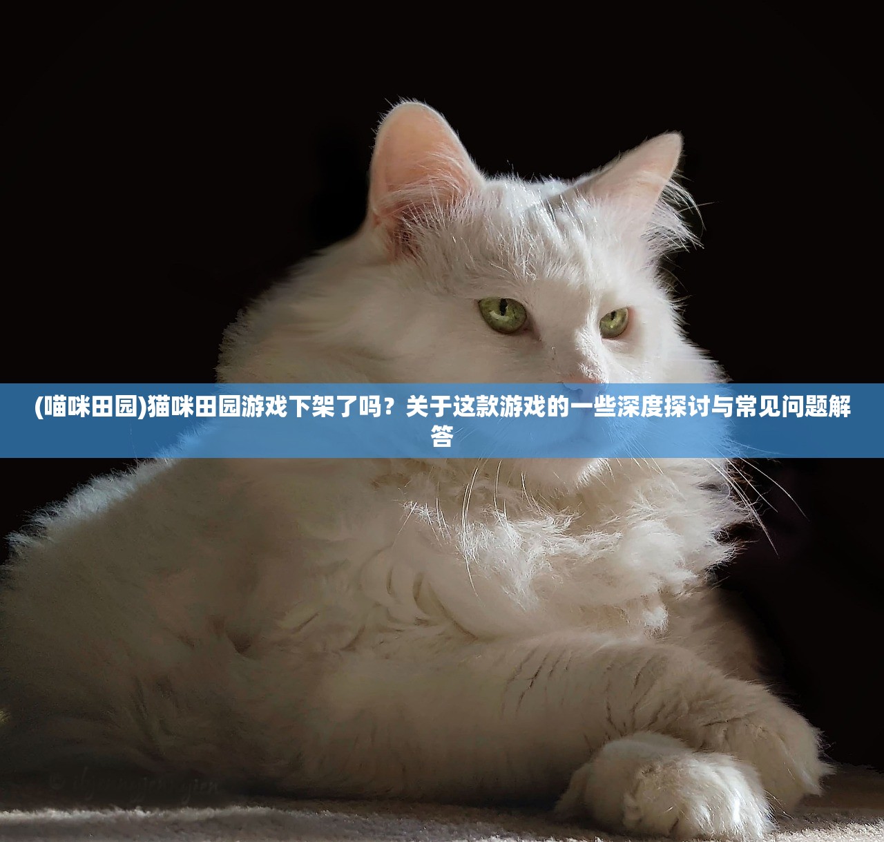 (黎明生存好玩吗)黎明生存H5，游戏探索与常见问题解答