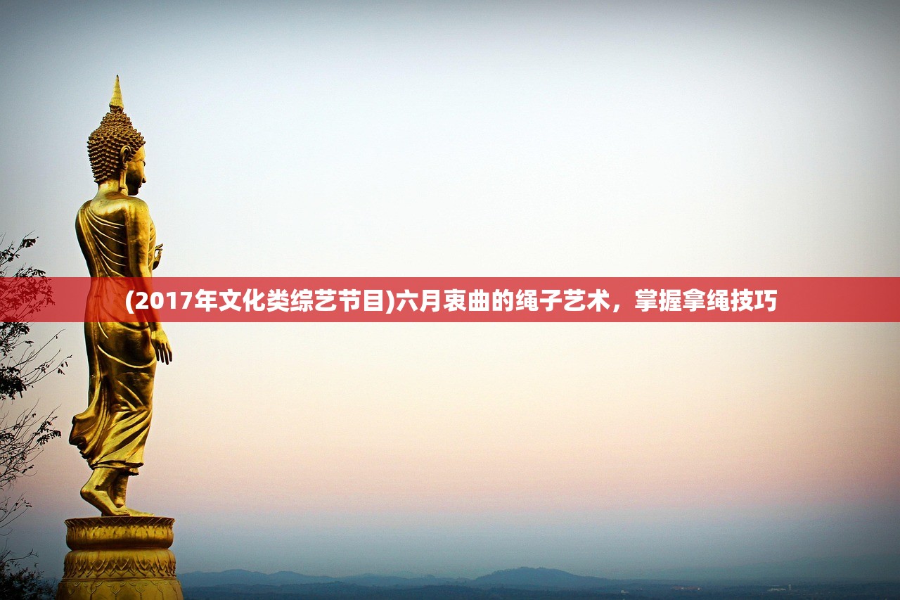 (2017年文化类综艺节目)六月衷曲的绳子艺术，掌握拿绳技巧