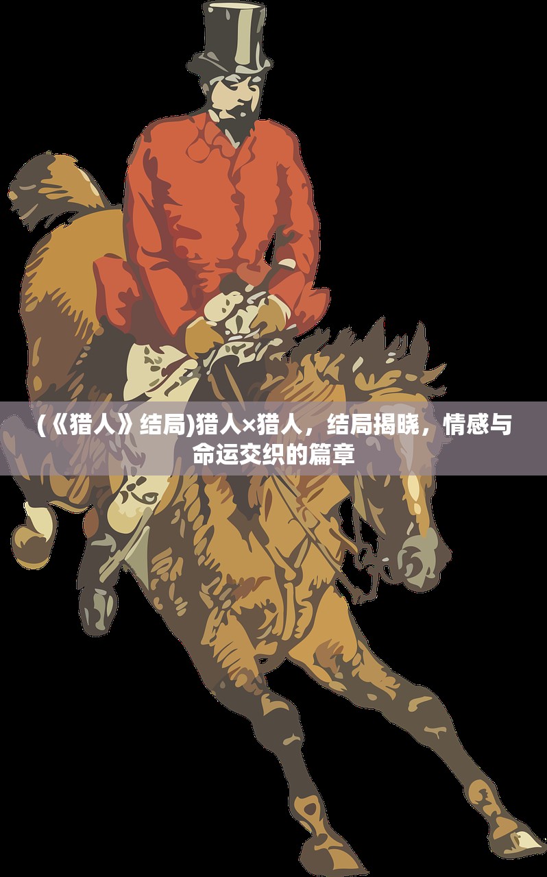(《猎人》结局)猎人×猎人，结局揭晓，情感与命运交织的篇章