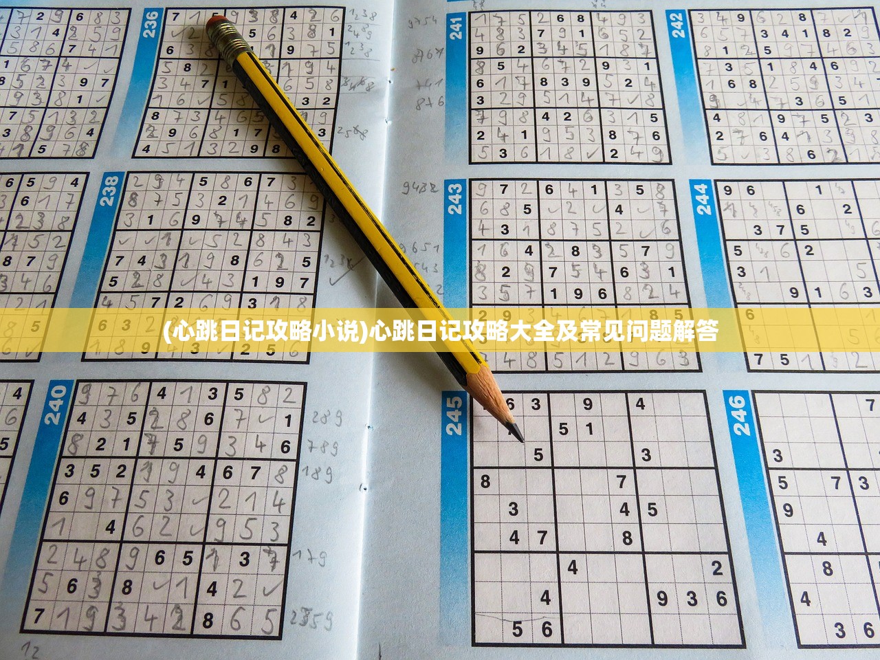 (心跳日记攻略小说)心跳日记攻略大全及常见问题解答 (心跳日记攻略小说)心跳日记攻略大全及常见问题解答