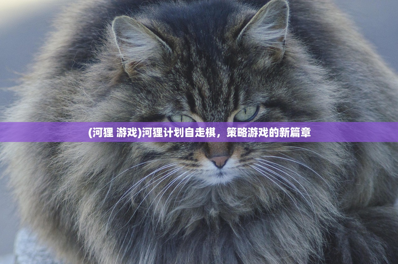 (河狸 游戏)河狸计划自走棋，策略游戏的新篇章