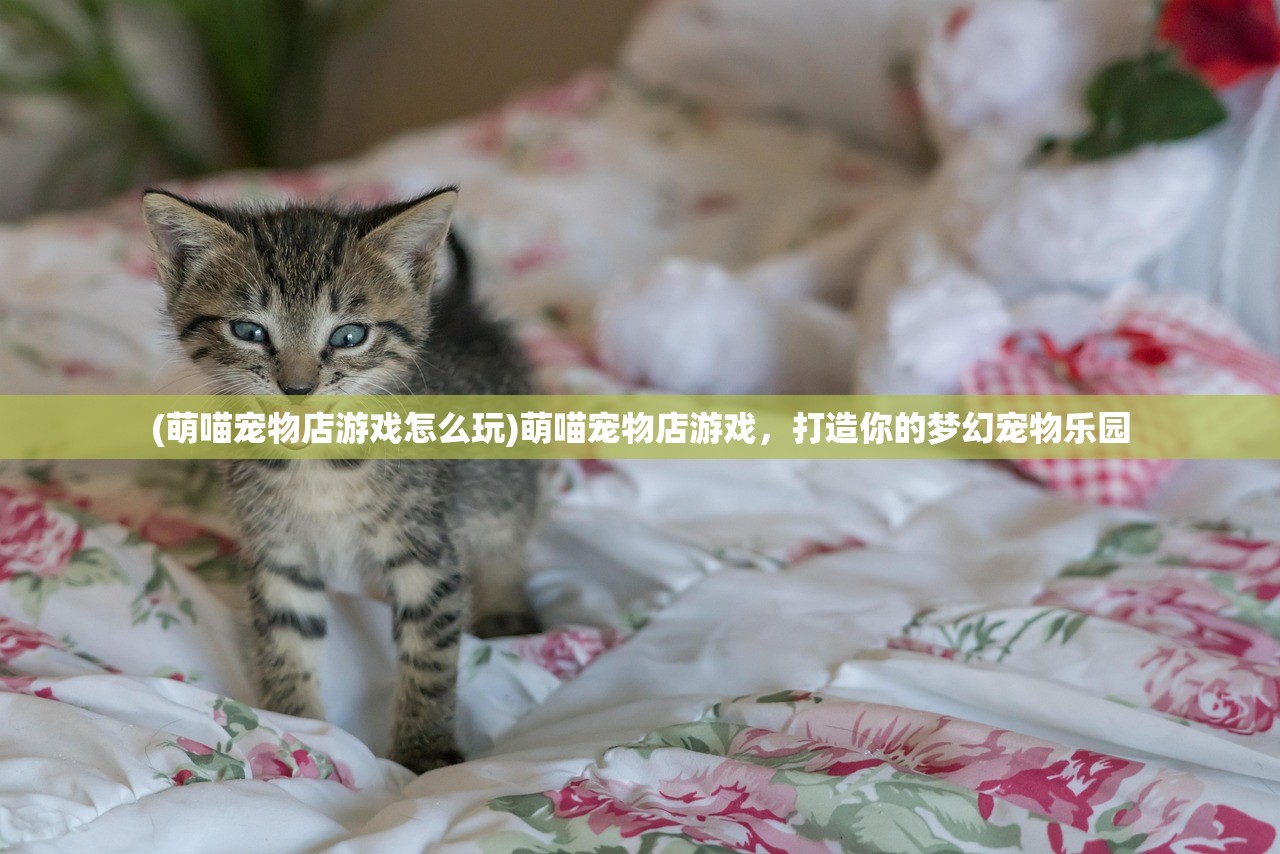 (萌喵宠物店游戏怎么玩)萌喵宠物店游戏，打造你的梦幻宠物乐园