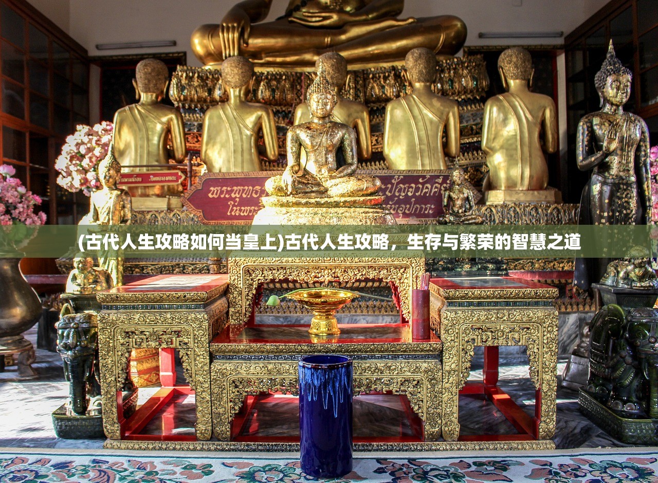 (小小精灵最实用的精灵)小小精灵，黑化精灵捕捉攻略