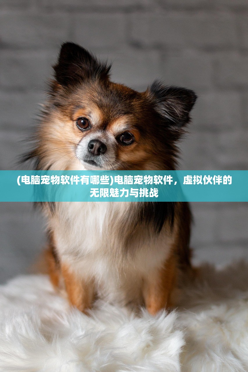 (全民冠军足球贴吧马克莱莱)全民冠军足球贴吧，聚焦足球电竞的热门话题与动态