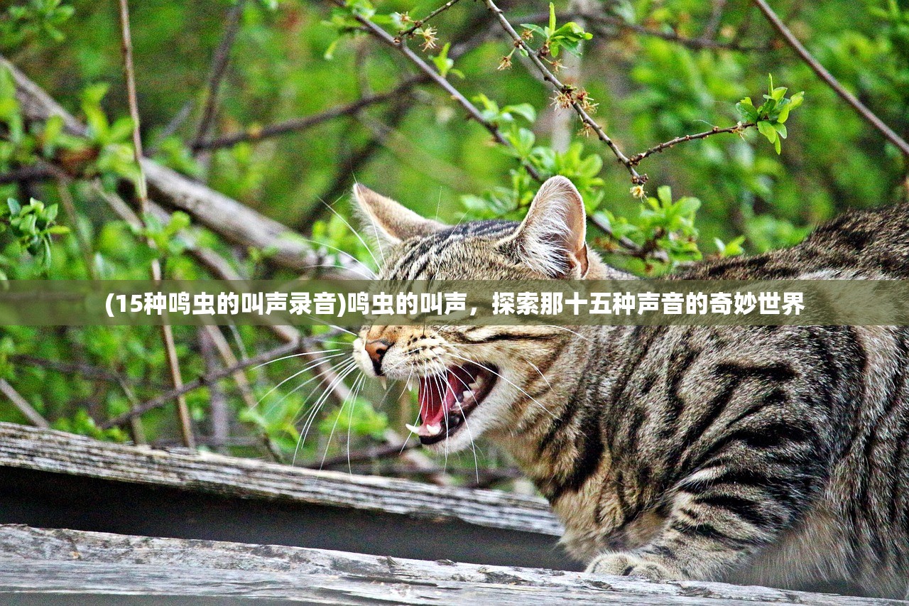 (白蛇传·情 选段春晚2025)白蛇传·情，传统与现代的交融