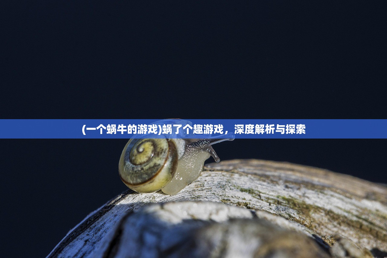 (一个蜗牛的游戏)蜗了个趣游戏,深度解析与探索 (一个蜗牛的游戏)蜗了个趣游戏,深度解析与探索
