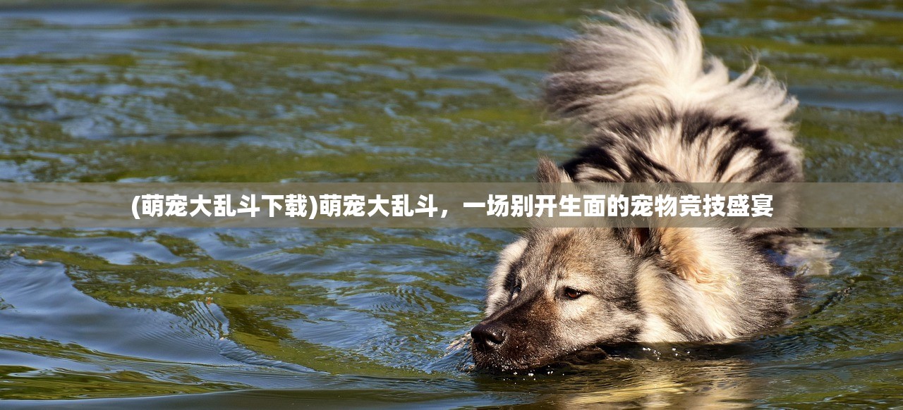 (萌宠大乱斗下载)萌宠大乱斗,一场别开生面的宠物竞技盛宴 (萌宠大乱斗下载)萌宠大乱斗,一场别开生面的宠物竞技盛宴