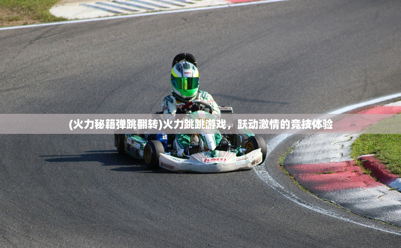 (大掌门神照经)神州大掌门单机，游戏深度解析与常见问题解答