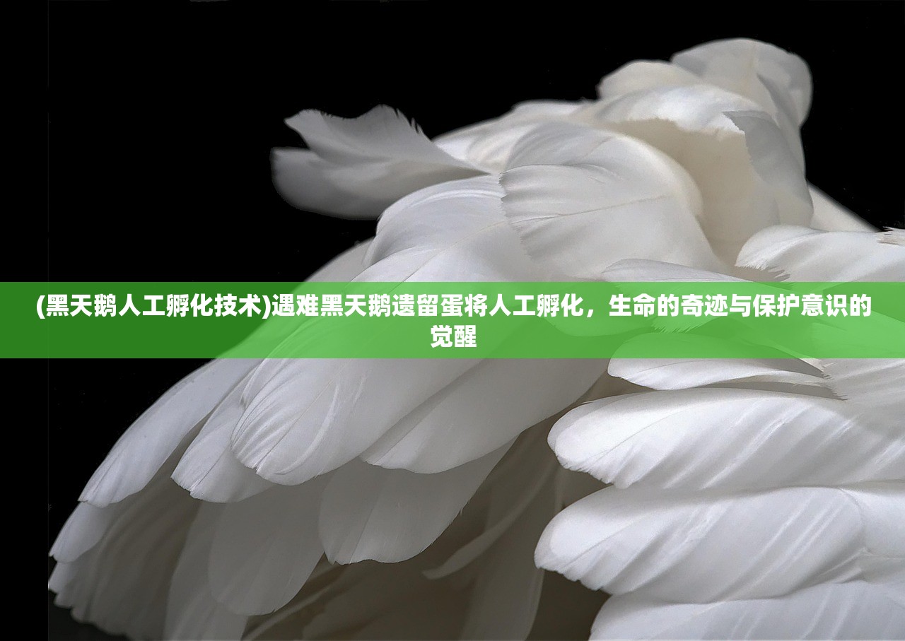 (不朽家族攻略时空秘境怎么过)全面解析，不朽家族攻略
