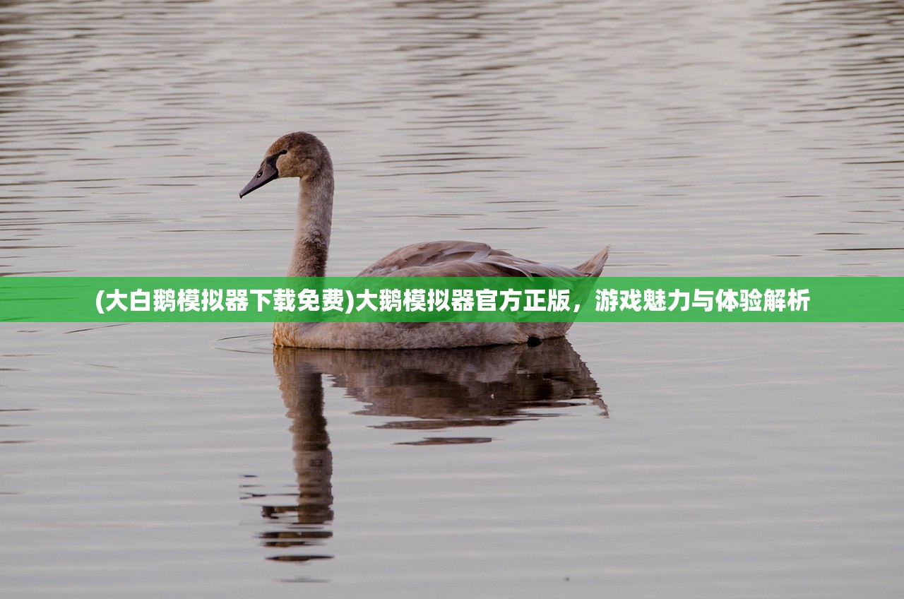 (精灵盛典灯展答案大全最新)精灵盛典灯展答案大全，深度解析与常见问答