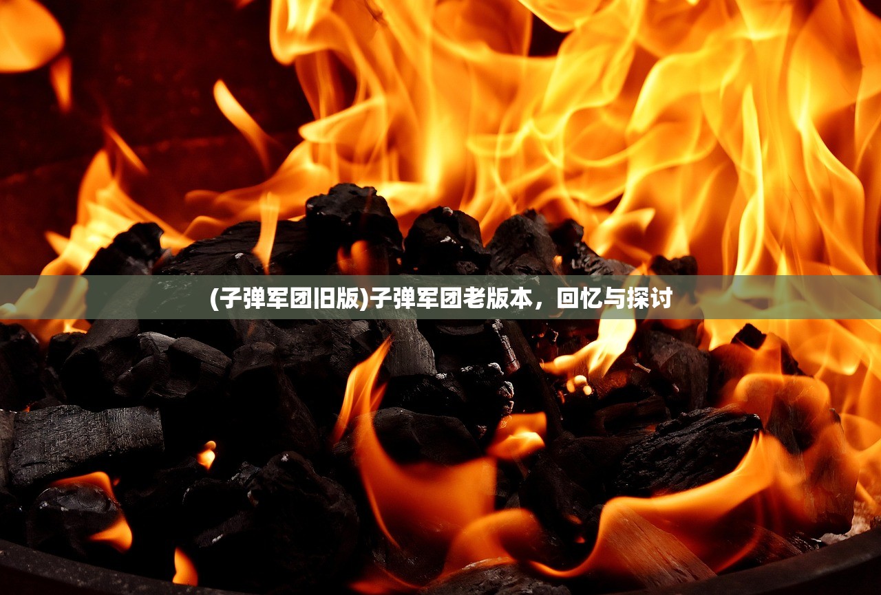(子弹军团旧版)子弹军团老版本，回忆与探讨
