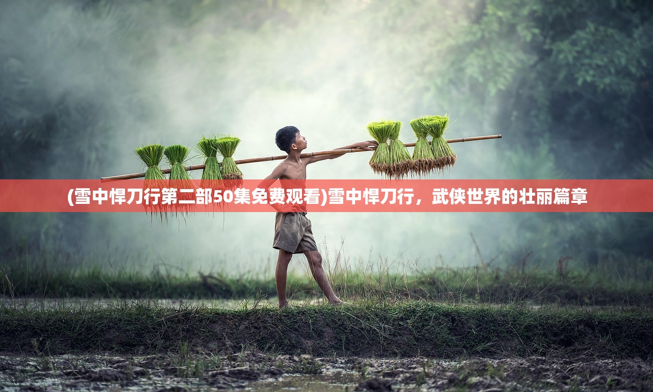 (雪中悍刀行第二部50集免费观看)雪中悍刀行,武侠世界的壮丽篇章 (雪中悍刀行第二部50集免费观看)雪中悍刀行,武侠世界的壮丽篇章
